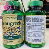 Viên lợi sữa Nature’s Garden Fenugreek 610mg của Anh hộp 100 viên
