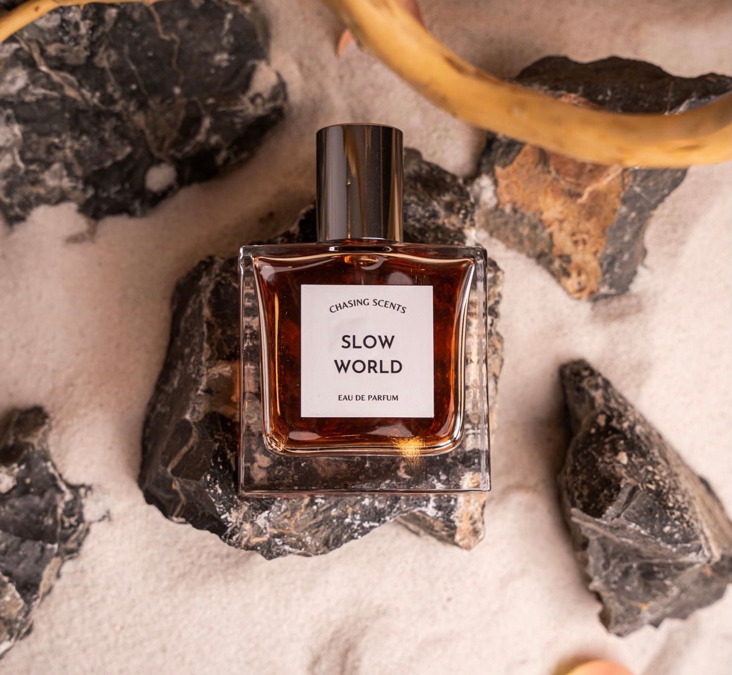 Chasing Scents Slow World 