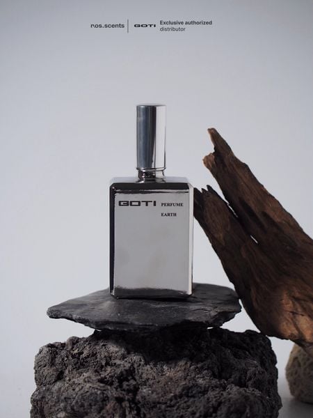 GOTI Earth 