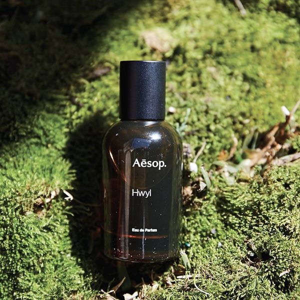  Aesop Hwyl 