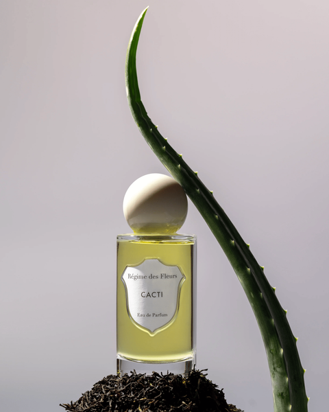  Régime Des Fleurs Cacti 