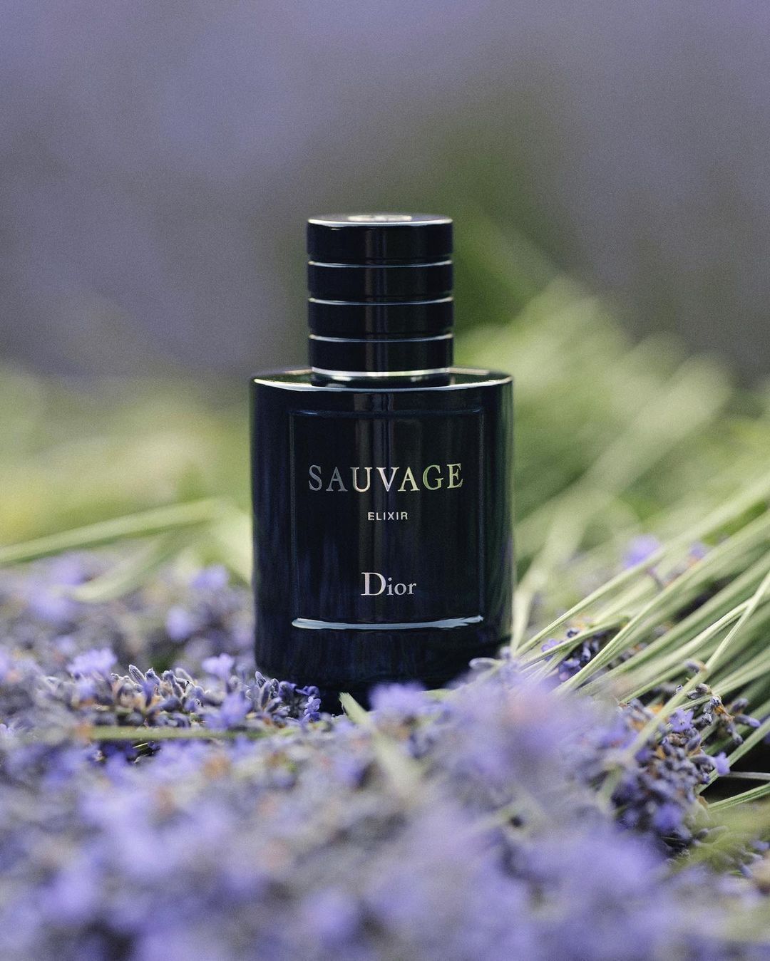  Christian Dior Sauvage Elixir 