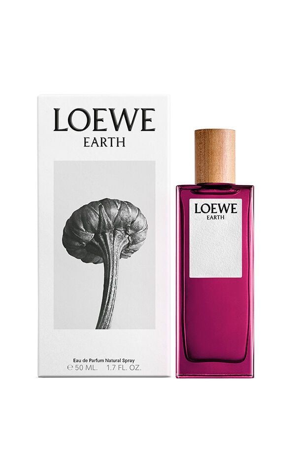  Loewe Earth 