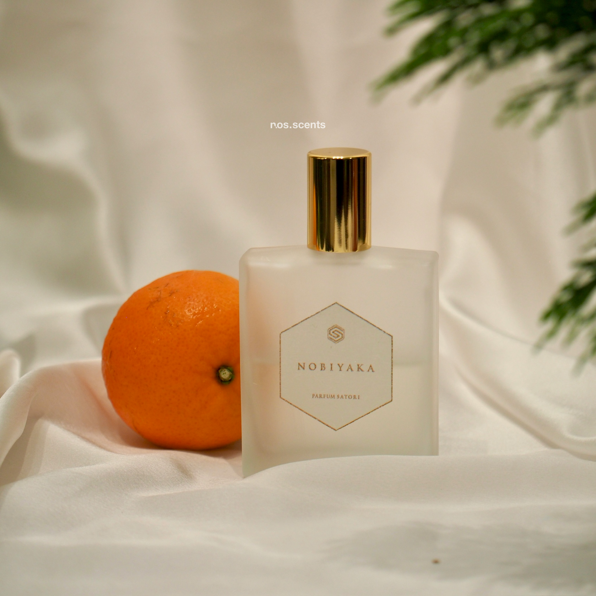 nobiyaka_2_83d81330f1ff4e72813