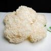  NẤM TUYẾT 500G/ GÓI 