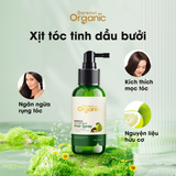 Bereovi - Combo Gội Xả + Xịt tóc nuôi dưỡng, phục hồi, kích thích mọc tóc 