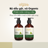 Bereovi - Combo Gội Xả Organic phục hồi, mềm mượt, giảm gãy rụng