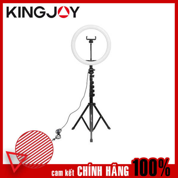 R11+FL019 – Kingjoy 11” Video Ring Light with Stand (FKR11)
