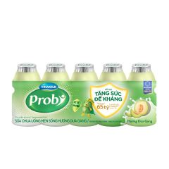 Sữa Chua Uống Probi hương dưa gang 65ml