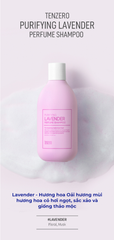 Dầu Gội Thanh Lọc Hương Hoa Lavender chống gàu giảm nấm Tenzero Purifying  300ml