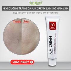 Kem trị nám hiệu quả sau 4 tuần - A.M (Anti-Melasma) CREAM (50ml)