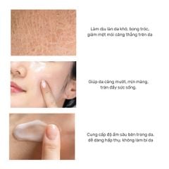 Kem Dưỡng Ẩm, Sáng Da, Chống Lão Hóa Cấp Nước Collagen Tenzero Collagen Moisture Water Cream 50g