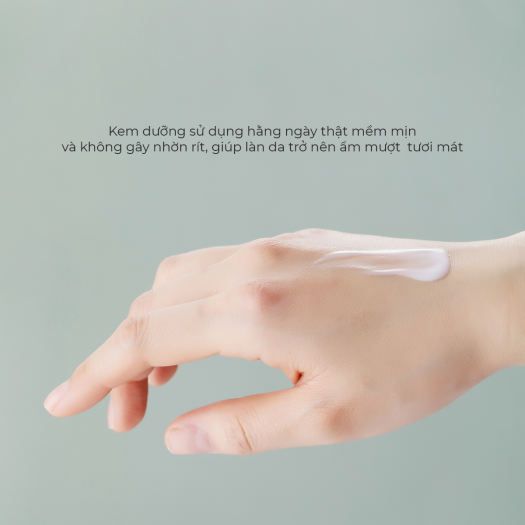 Kem Dưỡng Ẩm Chống Lão Hóa, Giảm Nếp Nhăn Tenzero Clear Fit Heartleaf Cream 50g