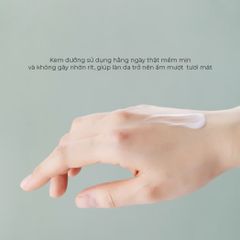 Kem Dưỡng Ẩm Chống Lão Hóa, Giảm Nếp Nhăn Tenzero Clear Fit Heartleaf Cream 50g