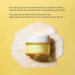 Kem Dưỡng Ẩm Làm Sáng Da, Căng Mướt Quýt Xanh Tenzero Green Tangerine Vitamin C Water Cream 50g