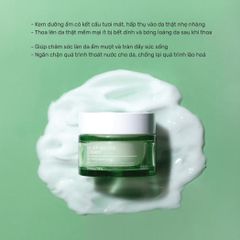 Kem Dưỡng Ẩm Làm Dịu Da, Phục Hồi Da Chiết Xuất Rau Má Tenzero Cica Relief Water Cream 50g