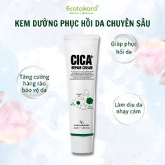 Kem dưỡng phục hồi da bị hư tổn và mệt mỏi - CICA PLUS REPAIR CREAM (50ml)