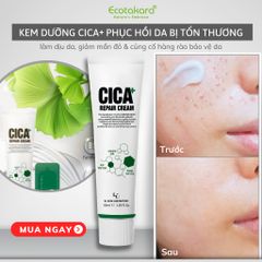 Kem dưỡng phục hồi da bị hư tổn và mệt mỏi - CICA PLUS REPAIR CREAM (50ml)