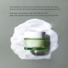 Kem Dưỡng Ẩm Làm Dịu Da, Săn Chắc Tràm Trà Tenzero Tea Tree Clearing Water Cream 50g