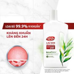 LIFEBUOY Nước lau sàn botani 1kg
