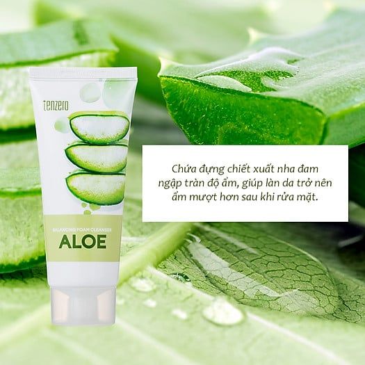 Sữa rửa mặt chiết xuất thiên nhiên Dịu nhẹ sạch dầu nhờn Tenzero Balancing Foarm Cleanser Aloe 100ml