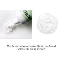 Sữa rửa mặt tạo bọt Tràm Trà Lành tính, Sạch mụn Tenzero Balancing Foam Cleanser Green Tree 100ml