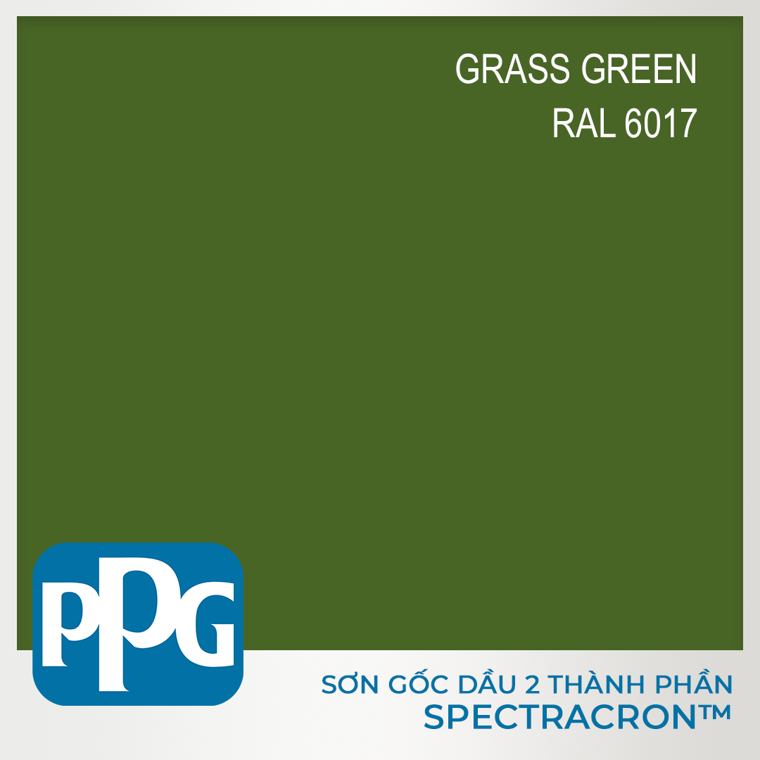  RAL 6010 Sơn PU 2 thành phần PPG - màu Grass Green độ bóng Vừa | VNDF11-6010 