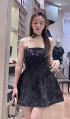 ĐẦM CÚP ĐÍNH HỒ ĐIỆP KÈM TAG CỔ