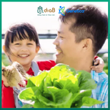  Xét nghiệm gen - U-Vita - GENETICA x DIAB 