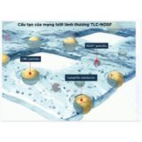  Băng gạc loét bàn chân tiểu đường, loét tì đè - URGOSTART CONTACT 