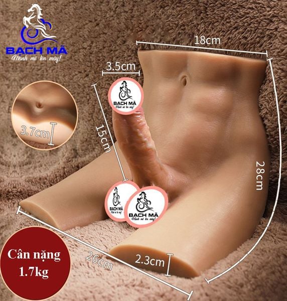  Búp bê tình dục bán thân cho nữ dương vật Silicon như thật 