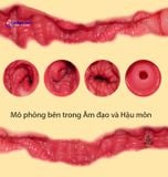  Búp bê tình dục silicon cho nam giá rẻ 