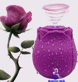  Máy rung hút kích thích nữ hoa hồng chính hãng 