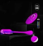  Trứng rung không dây Pretty Love Lechies điều khiển từ xa 