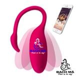  Trứng rung Thiên Nga Flamingo Magic Motion kết nối Bluetooth cao cấp 