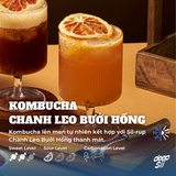  KOMBUCHA CHANH LEO BƯỞI HỒNG 