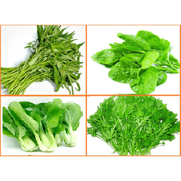 Phân bón cho rau ăn lá Calamin 100g, phân bón rau sạch tại nhà Calamin ...