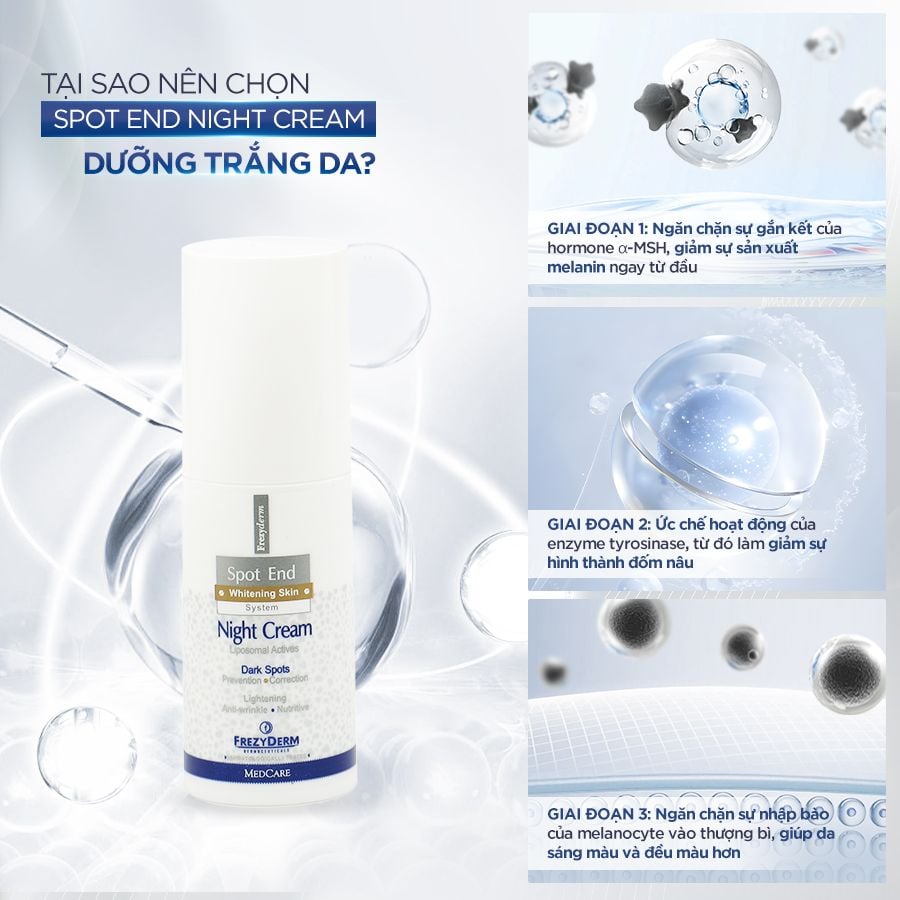 Kem làm mờ đốm nâu & sáng da ban đêm Frezyderm Spot End Night Cream 50ml