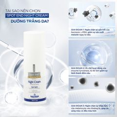 Kem làm mờ đốm nâu & sáng da ban đêm Frezyderm Spot End Night Cream 50ml