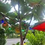  Dây đuôi đèn Sopoka trang trí, chống nước, chống vỡ, bảo hành 1 đổi 1 lên đến 24 tháng 