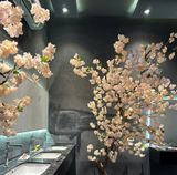  Cây hoa đào Nhật Bản trang trí tết - Hoa mai trang trí mùa xuân - Thi công khu vực HCM 