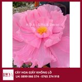  Hoa Giấy Khổng Lồ Trang Trí Sự Kiện HCM 
