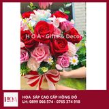  Chậu Hoa Đỏ Nhung Mix Màu Cao Cấp 