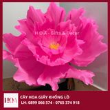  Hoa Giấy Khổng Lồ Trang Trí Sự Kiện HCM 