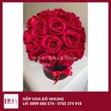  Hộp Hoa Đỏ Nhung Cao Cấp 