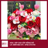  Chậu Hoa Đỏ Nhung Mix Màu Cao Cấp 