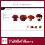  Hộp Hoa Đỏ Nhung Cao Cấp 