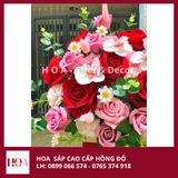  Chậu Hoa Đỏ Nhung Mix Màu Cao Cấp 