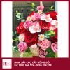  Chậu Hoa Đỏ Nhung Mix Màu Cao Cấp 