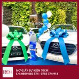  Nơ Giấy Giao Xe - Nơ Giấy Sự Kiện HCM 